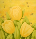 Tulipánky Tulipánky