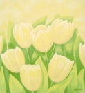 Tulipány Tulipány