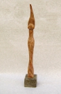 Žena Žena