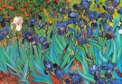 Vincent van Gogh - Irises